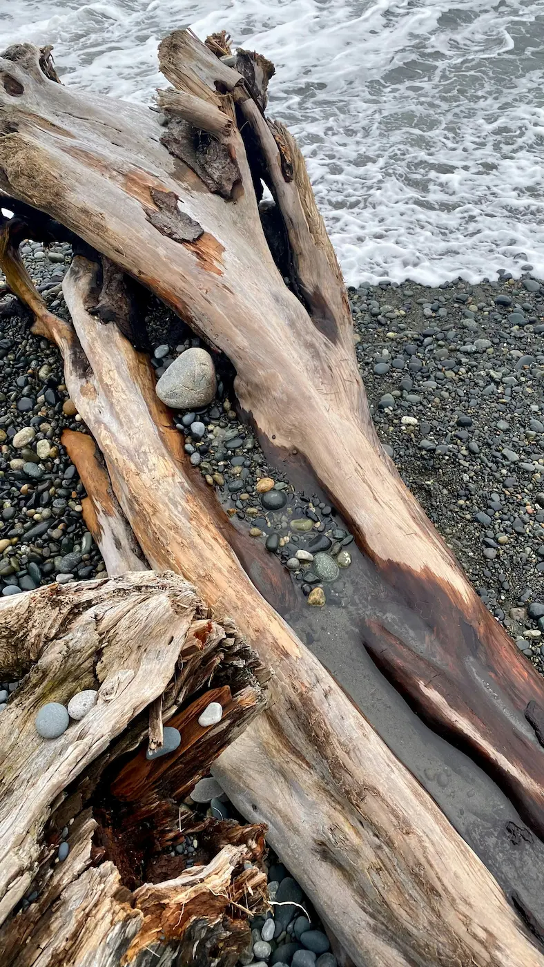 Old Souls & Driftwood Shrines
