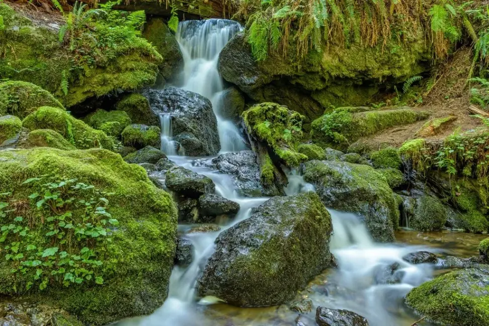 Trillium Falls