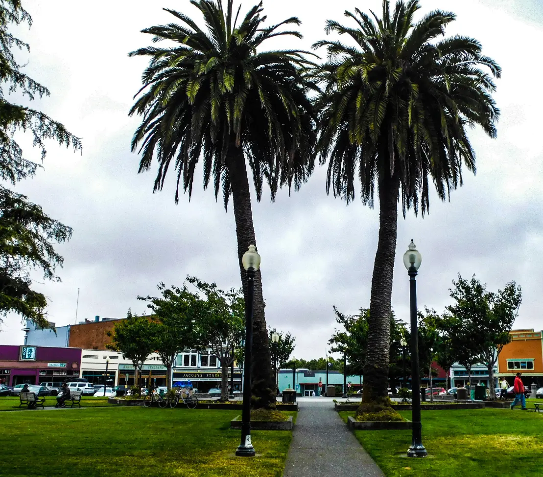 arcata ca
