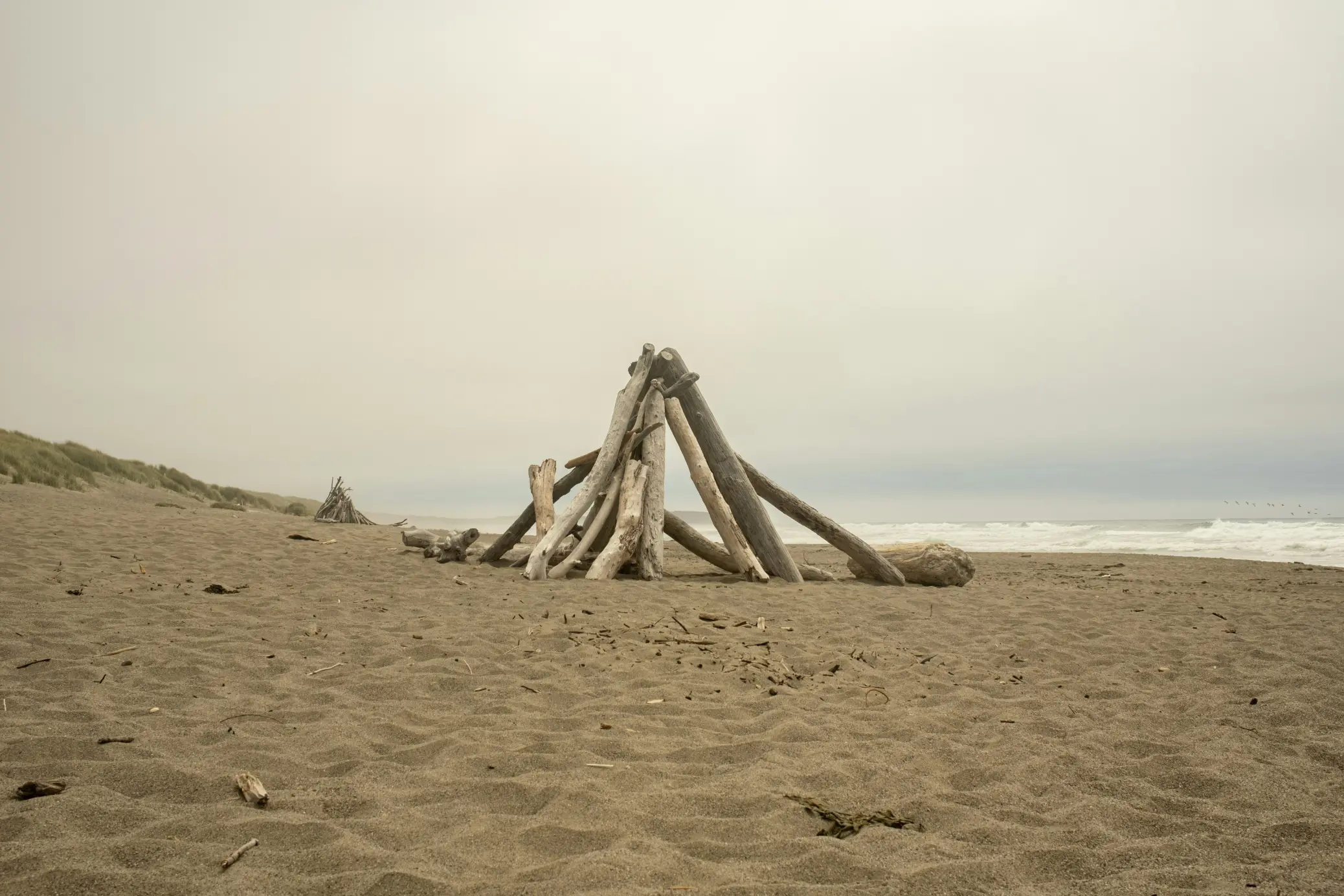 driftwood
