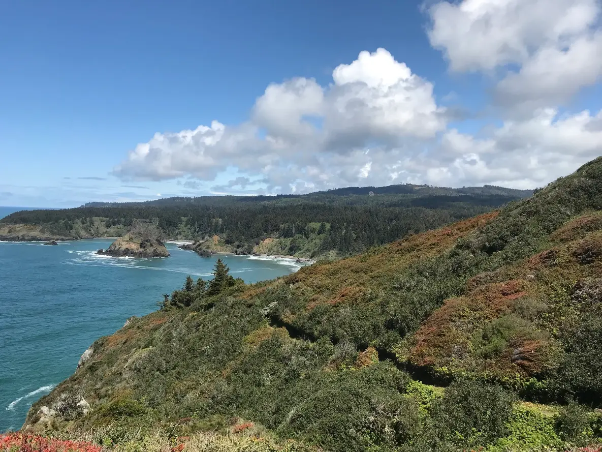 trinidad head trail