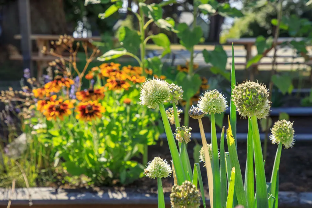 11 The Schoolhouse Inn Trinidad CA The Schoolhouse Inn Trinidad CA