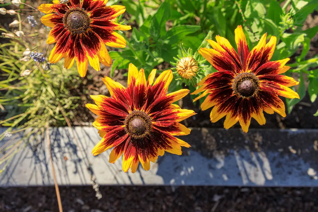 16 The Schoolhouse Inn Trinidad CA The Schoolhouse Inn Trinidad CA