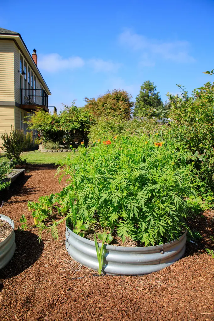 17 The Schoolhouse Inn Trinidad CA The Schoolhouse Inn Trinidad CA