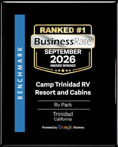 business rate number one winner